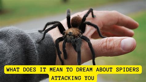 Dream About Spider Attack: What Does It Signify?