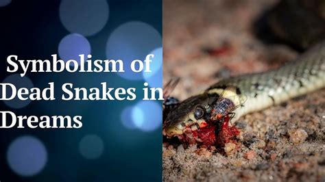 Dream Analysis: Decoding the Message of a Snake Blocking Your Door