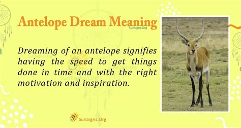 Dream Encounters with Antelope: Unveiling Symbolism and Meaning