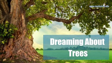 Dream Interpretation: Descending from a Tall Tree