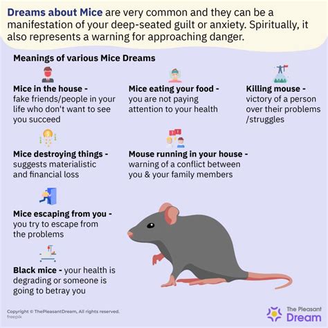 Dream Interpretation: Rodent in Upper Room