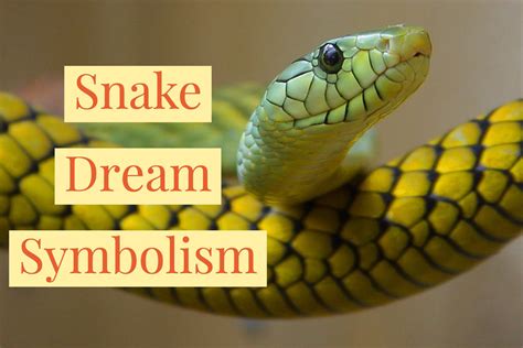 Dream Interpretation: Symbolism of Snakes