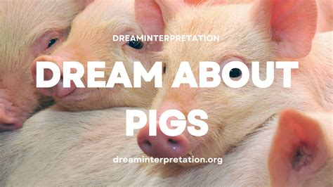 Dream Interpretation: The Significance of a Swine Delivering Offspring