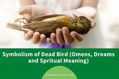 Dream Interpretation: The Symbolic Meaning of a White Bird