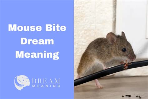 Dream Interpretation: The Symbolism of Mouse Bites in Dreams