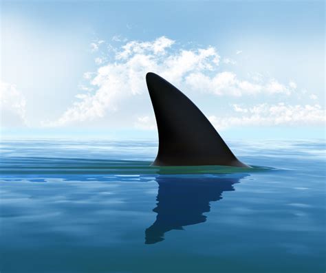 Dream Interpretation: Understanding the Symbolic Meaning of a Thrilling Shark Encounter in a Dream