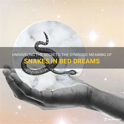 Dream Interpretation: Unraveling the Symbolic Significance of a Turtle Snake Dream