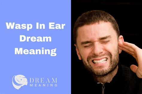 Dream Interpretation: Wasp in Ear and its Symbolism