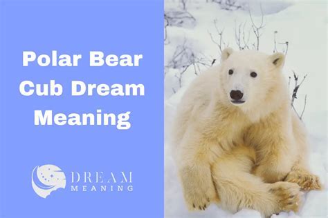 Dream Symbols: Decoding the Hidden Significance of Taking down a Bear