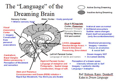 Dreaming as a Healing Mechanism: Can Rescuing Your Beloved Individuals in Dreams Offer Emotional Relief?