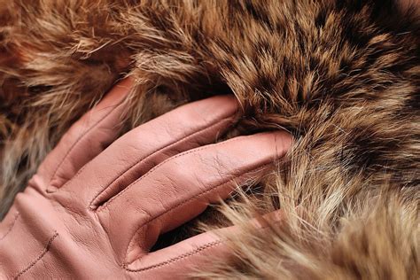 Dreaming in Pink: Decoding the Symbolic Importance of Warm and Comforting Throws