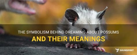 Dreaming of Being Bitten by a Possum: The Intriguing Symbolism