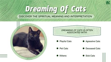 Dreaming of Cats: Discovering the Veiled Messages