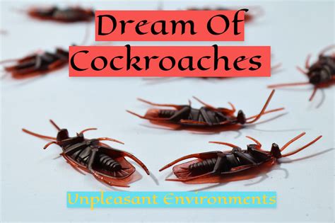 Dreaming of Cockroaches in Different Contexts