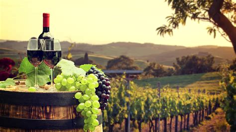 Dreaming of Enchanting Grape Vineyards and Wine Tastings