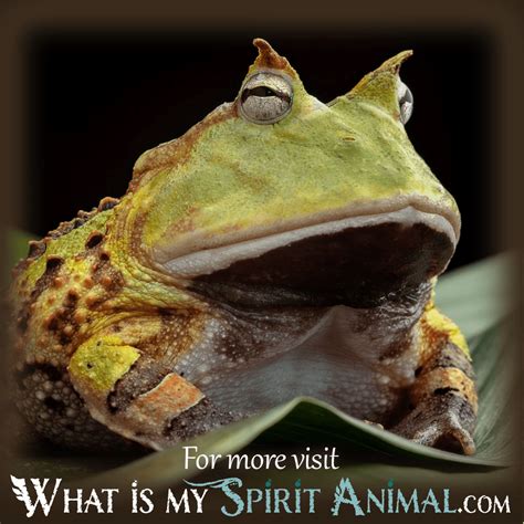 Dreaming of Ingesting Amphibians: The Symbolic Significance