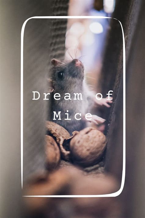 Dreaming of Mice: Possible Meanings and Explanations