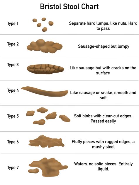 Dreaming of Passing Stool: Is it Just a Physical Concern?