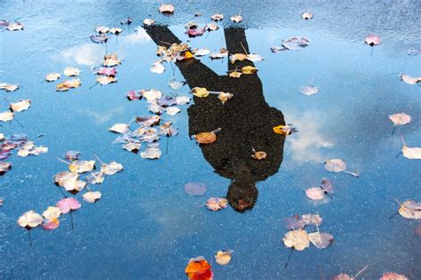 Dreaming of Puddles: Unveiling the Hidden Meanings