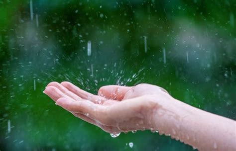 Dreaming of Rain: Beneficial or Detrimental?