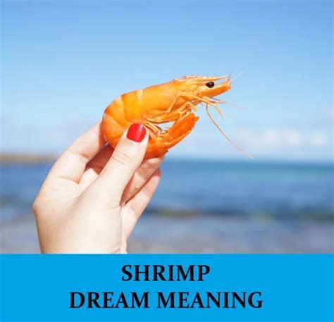 Dreaming of Shrimp: Exploring the Mysterious Symbolism