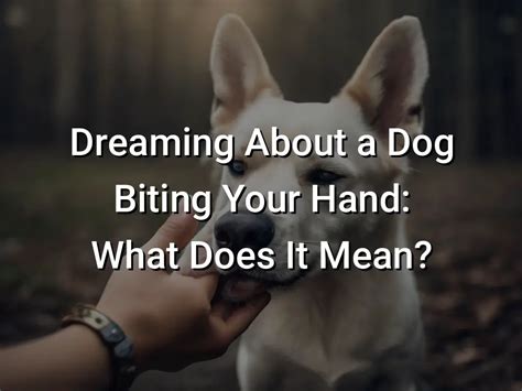 Dreaming of Someone Biting Your Hand: Possible Real-Life Connections