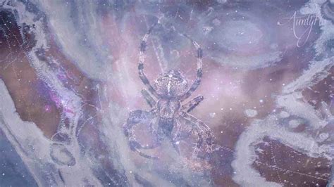 Dreaming of Spider Webs: Decoding the Hidden Messages