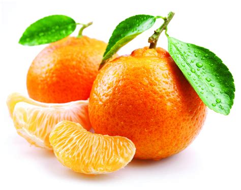 Dreaming of Tangerines: A Sign of Potential Opportunities