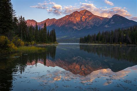 Dreaming of Tranquility: Exploring the Bliss of a Leisurely Stroll