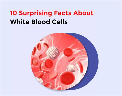 Dreaming of White Blood Cells: Should You Seek Medical Advice?