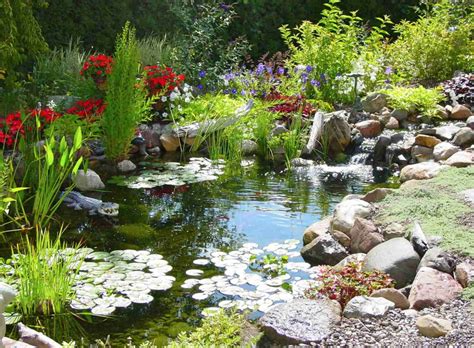 Dreaming of a Calm Tiny Pond