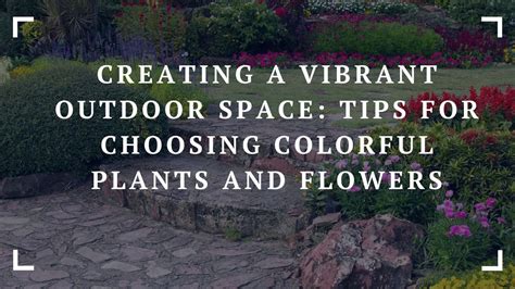 Dreaming of a Colorful Oasis: Choosing the Perfect Plants for Your Garden