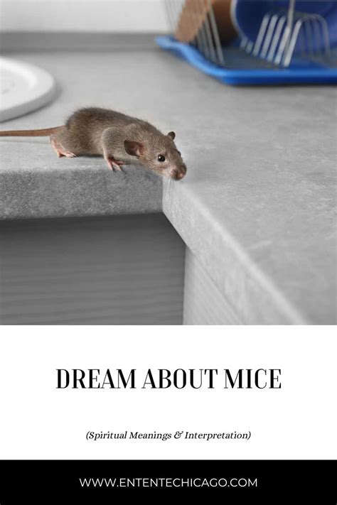 Dreaming of a Deceased Rodent: An Insight into Fright and Unease