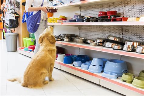 Dreaming of a One-of-a-Kind Pet Store Experience