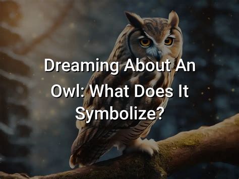 Dreaming of a Small White Owl: What Does It Symbolize?