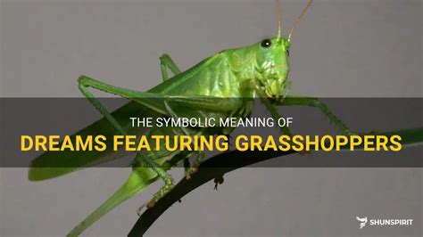 Dreaming of a Swarm: The Symbolic Meaning of Grasshoppers in Dreams