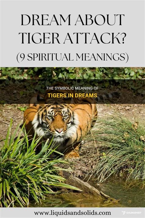 Dreaming of a Tiger: What Does It Signify?