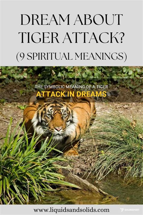 Dreaming of a Tiger Attack: What Does it Mean?