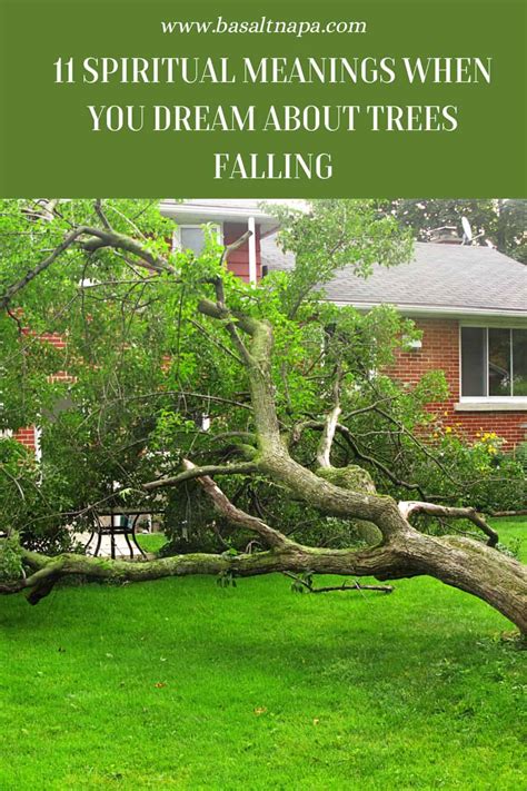 Dreaming of a Tree Falling: Decoding the Symbolic Collapse of Stability