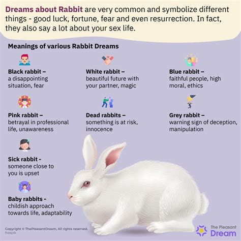 Dreaming of a White Rabbit: What Does it Signify?