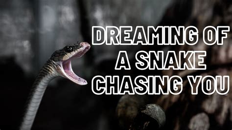 Dreaming of a snake on you: what does it signify?