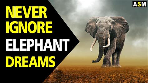 Dreaming of an Elephant: A Journey to Remember