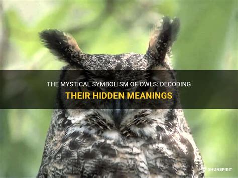 Dreaming of an owl: Decoding the hidden messages