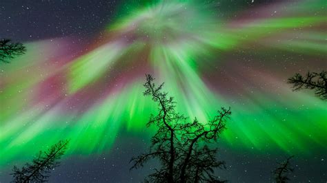 Dreaming of the Dazzling Dance: Witnessing the Enchanting Northern Lights