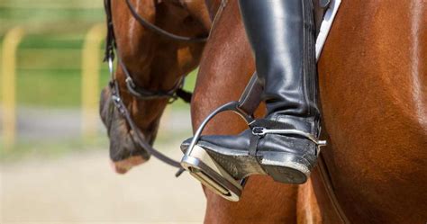 Dreaming of the Ideal Saddle: A Comprehensive Guide for Horseback Riders