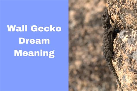 Dreaming of the Wall Gecko: A Scientific Perspective