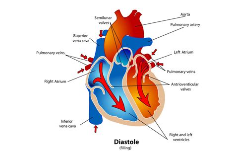 Dreams about Cardiac Incidents: Discovering Their Hidden Significance