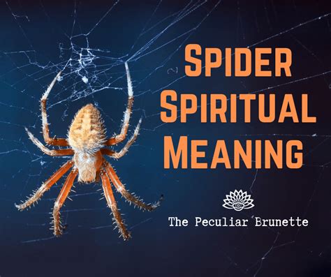 Dreams about spiders: symbolic interpretations and meanings