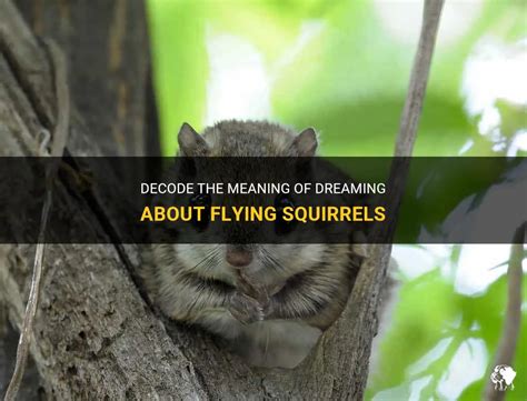 Dreams and Their Meanings: Decoding the Symbolism of a Squirrel