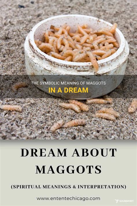 Dreams and Transformation: The Symbolic Meaning of Maggots on the Ceiling